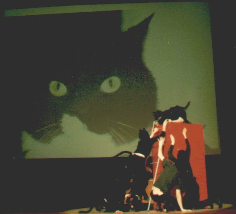 Sala Kongresowa PKiN -   Koty    NOC REKLAMOZERCOW